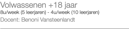 Volwassenen +18 jaar 8u/week (5 leerjaren) - 4u/week (10 leerjaren) Docent: Benoni Vansteenlandt